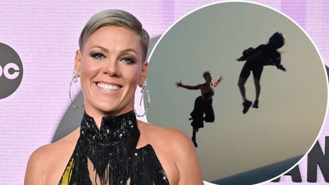 pink-trustfall-song